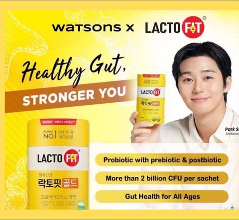 LACTOFIT PROBIOTICS 120 STICKS