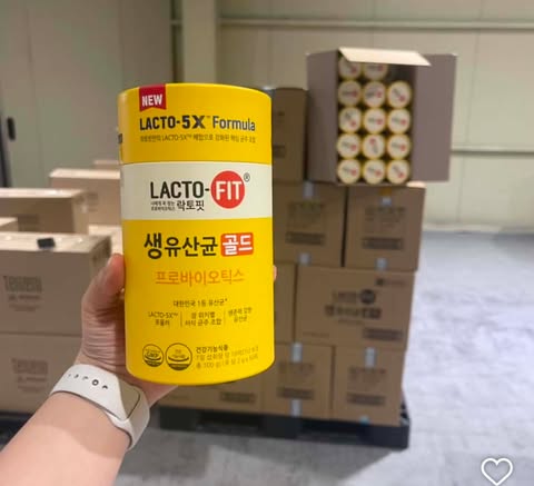 LACTOFIT PROBIOTICS 50 STICKS